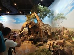 -陕西自然博物馆