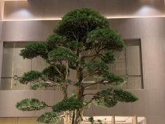 -外滩·云南人家(昆明旗舰店)