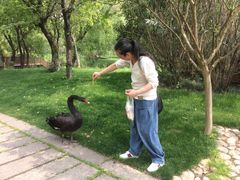 -长兴太湖图影湿地文化园