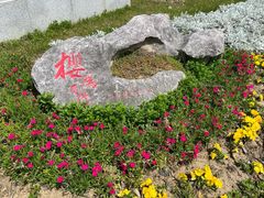 -江南大学(蠡湖校区)