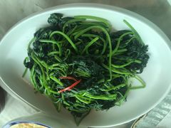 -石头咕(葵蓬店)