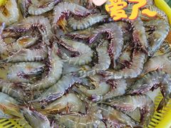 -板桥海鲜广场(文明东店)