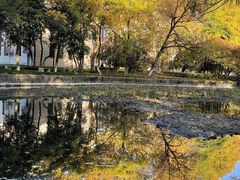 -安徽大学(磬苑校区)