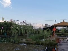 -同銮特种养殖场·龙虾垂钓