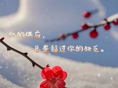 -梦菲思饼屋(瑞金宾馆店)