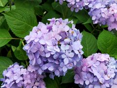 -新天地活力PARK