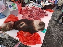 -蒲河大集