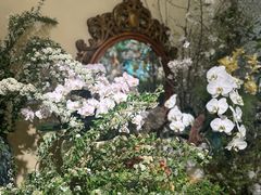 -花二家·生活馆(六运小区店)