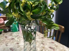 -兴福老面馆(寺路街店)