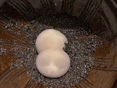 -杭州新新饭店·1913餐厅