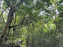 -梧桐山风景名胜区