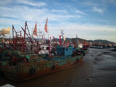 梭子蟹-胖大嫂渔家排档·全海景餐厅(渔村店)