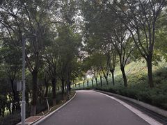 -河北省园博园