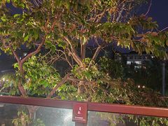 -亚龙湾红树林度假酒店-韩轩韩餐厅