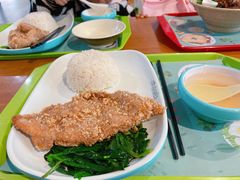 鸡排饭-上海野生动物园老虎餐厅