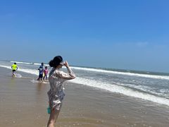 -日照海滨国家森林公园