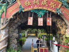 -瑞丽独树成林风景区