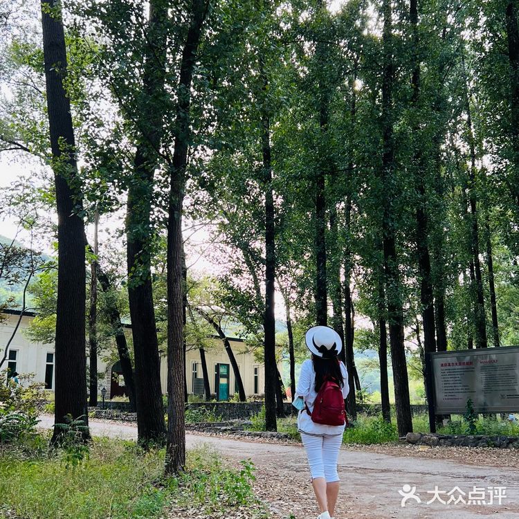 露营🏕️烧烤，遛娃好去处