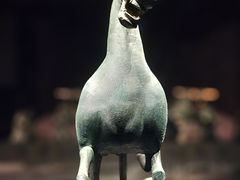 -甘肃省博物馆