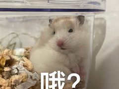 -珮姐老火锅(新街口店)