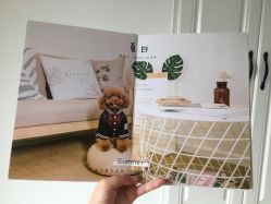 -ZOO KIDS象集摄影工作室(西城公馆店)