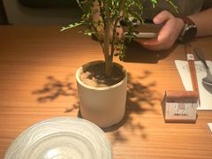 -CURRY YA 熟成咖哩專門店(深圳湾万象城店)