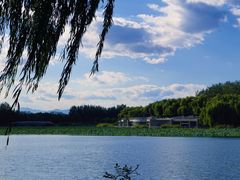 -大兴滨河森林公园