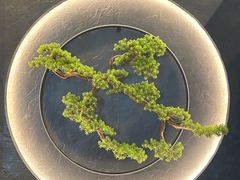 -梅筑·创意料理(王府井百货店)
