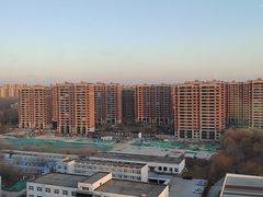 -廊坊固安福朋喜来登酒店