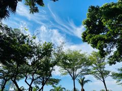-白鹭洲公园