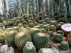 -南山植物园