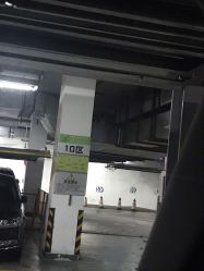 -上海交通大学医学院附属上海儿童医学中心(陆家嘴总院区)