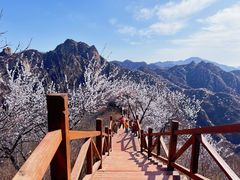 -大岭沟猕猴桃谷风景区