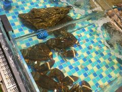 -映像威海·海鲜味道(市区店)