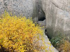 -崂山仰口游览区