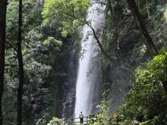 -莫里热带雨林景区