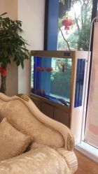 -蕾特恩祛痘•皮肤管理