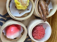 -广州都市观光巴士(粤陶巴)