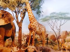 -陕西自然博物馆