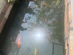 -乌记大厨餐厅