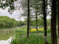 -西溪国家湿地公园