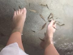 -碧水湾温泉
