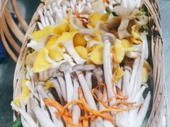 -老滇山寨•云南特色菜•地方菜•民族风情歌舞表演(金碧店)