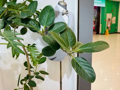 -易改衣·专业衣物奢护中心(珠江新城猎德店)