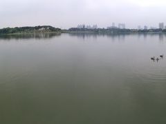 -海珠湖公园