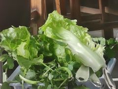 杂菜-章记正宗南岗鱼蛋火锅