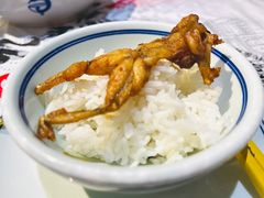 -壹盏灯(惠农店)