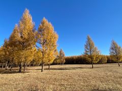 -塞罕坝国家级自然保护区