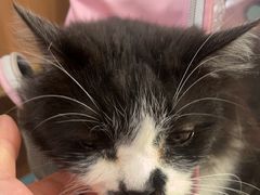 -爱派特动物医院·全科诊疗中心