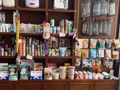 -宠爱国际动物医院· 猫科· 外科·中兽医(长白店)